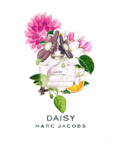 daisy chanel perfume
